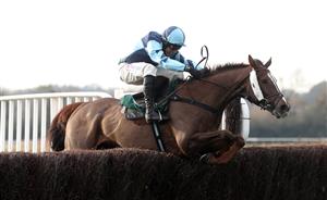 WARWICK, ENGLAND - NOVEMBER 06: Accordingtogino ridden by Harry Skelton jumps a fence before winning the Racing TV Profits Returned To Racing Handicap Chase at Warwick Racecourse on November 6, 2020 in Warwick, England. (Photo by David Davies - Pool / Getty Images)
