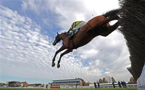 WARWICK, ENGLAND - NOVEMBER 06: Allmankind ridden by Harry Skelton jumps a fence before winning the Stan Mellor Memorial Novices Chase at Warwick Racecourse on November 6, 2020 in Warwick, England. (Photo by David Davies - Pool / Getty Images)