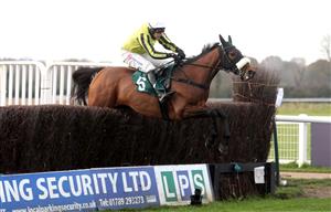 WARWICK, ENGLAND - NOVEMBER 06: Allmankind ridden by Harry Skelton jumps a fence before winning the Stan Mellor Memorial Novices Chase at Warwick Racecourse on November 6, 2020 in Warwick, England. (Photo by David Davies - Pool / Getty Images)