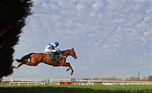 WARWICK, ENGLAND - NOVEMBER 06: Bothwell Bridge ridden by Nico de Boinville on their way to winning the racingtv.com Novices' Hurdle at Warwick Racecourse on November 6, 2020 in Warwick, England. (Photo by David Davies - Pool / Getty Images)