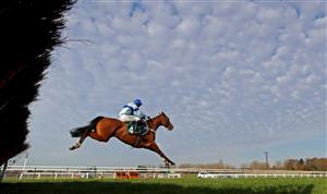 WARWICK, ENGLAND - NOVEMBER 06: Bothwell Bridge ridden by Nico de Boinville on their way to winning the racingtv.com Novices' Hurdle at Warwick Racecourse on November 6, 2020 in Warwick, England. (Photo by David Davies - Pool / Getty Images)