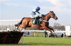 WARWICK, ENGLAND - NOVEMBER 06: Bothwell Bridge ridden by Nico de Boinville on their way to winning the racingtv.com Novices' Hurdle at Warwick Racecourse on November 6, 2020 in Warwick, England. (Photo by David Davies - Pool / Getty Images)