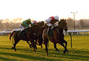WARWICK, ENGLAND - NOVEMBER 06: Blue Sans ridden by jockey Paddy Brennan (R) on their way to win the British EBF Mares' Standard Open NH Flat Race at Warwick Racecourse on November 6, 2020 in Warwick, England. (Photo by David Davies - Pool / Getty Images)