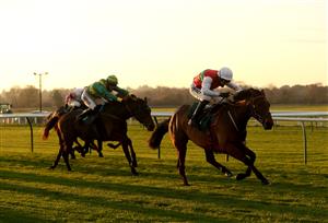 WARWICK, ENGLAND - NOVEMBER 06: Blue Sans ridden by jockey Paddy Brennan (R) on their way to win the British EBF Mares' Standard Open NH Flat Race at Warwick Racecourse on November 6, 2020 in Warwick, England. (Photo by David Davies - Pool / Getty Images)