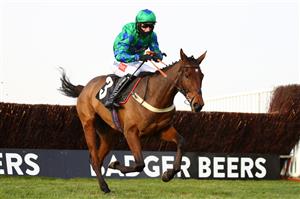WINCANTON, ENGLAND - NOVEMBER 07: Daryl Jacob on board Ga Law jump the last fence on their way to victory during the 'Rising Stars' Novices' Chase at Wincanton Racecourse on November 7, 2020 in Wincanton, England. (Photo by Michael Steele/Getty Images)