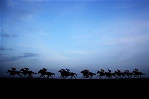 WINCANTON, ENGLAND - NOVEMBER 07: General View of runners during the Visit racingtv.com Intermediate Open NH Flat Race at Wincanton Racecourse on November 7, 2020 in Wincanton, England. (Photo by Michael Steele/Getty Images)