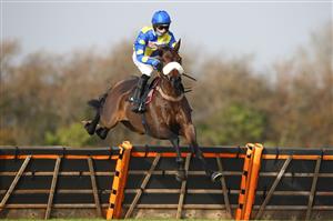 WINCANTON, ENGLAND - NOVEMBER 07: Harry Cobden on board Flic Ou Voyou on their way to victory during the EBF Stallions 'National Hunt' Novices' Hurdle at Wincanton Racecourse on November 7, 2020 in Wincanton, England. (Photo by Michael Steele/Getty Images)