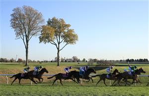 LEXINGTON, KENTUCKY - NOVEMBER 06: The field rounds the first turn during the Juvenile Fillies Turf during the 2020 Breeders Cup at Keeneland on November 06, 2020 in Lexington, Kentucky. (Photo by Andy Lyons/Getty Images)