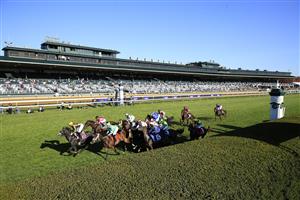 LEXINGTON, KENTUCKY - NOVEMBER 06: The field runs on the front stretch in the Juvenile Turf during the 2020 Breeders Cup at Keeneland on November 06, 2020 in Lexington, Kentucky. (Photo by Andy Lyons/Getty Images)