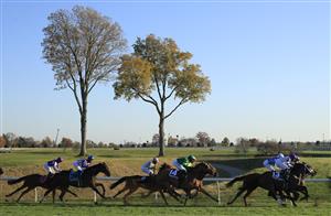 LEXINGTON, KENTUCKY - NOVEMBER 06: The field rounds the first turn during the Juvenile Fillies Turf during the 2020 Breeders Cup at Keeneland on November 06, 2020 in Lexington, Kentucky. (Photo by Andy Lyons/Getty Images)