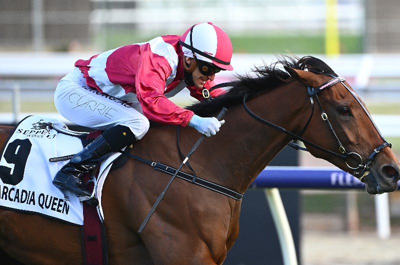 Mackinnon Stakes Mackinnon Stakes