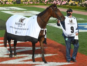MELBOURNE, AUSTRALIA - NOVEMBER 07: Arcadia Queen after winning Race 8, the Seppelt Mackinnon Stakes, during 2020 Seppelt Wines Stakes Day at Flemington Racecourse on November 07, 2020 in Melbourne, Australia. (Photo by Vince Caligiuri/Getty Images for the VRC)