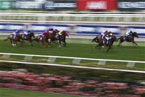 MELBOURNE, AUSTRALIA - NOVEMBER 07: Ben Melham riding #8 Shelby Cobra wins race 2, The Amanda Elliott during 2020 Seppelt Wines Stakes Day at Flemington Racecourse on November 07, 2020 in Melbourne, Australia. (Photo by Daniel Pockett/Getty Images for the VRC)
