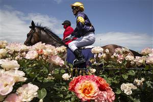 MELBOURNE, AUSTRALIA - NOVEMBER 07: Ben Melham riding #8 Shelby Cobra returns to scale after winning race 2, The Amanda Elliott during 2020 Seppelt Wines Stakes Day at Flemington Racecourse on November 07, 2020 in Melbourne, Australia. (Photo by Daniel Pockett/Getty Images for the VRC)