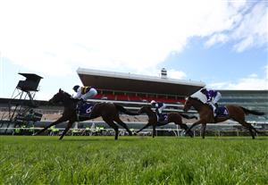 MELBOURNE, AUSTRALIA - NOVEMBER 07: Hugh Bowman riding #6 True Self wins race 5, the Queen Elizabeth Stakes during 2020 Seppelt Wines Stakes Day during 2020 Seppelt Wines Stakes Day at Flemington Racecourse on November 07, 2020 in Melbourne, Australia. (Photo by Robert Cianflone/Getty Images for the VRC)