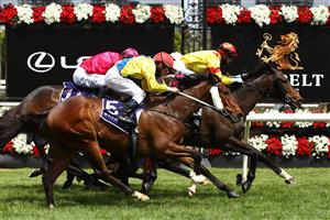 MELBOURNE, AUSTRALIA - NOVEMBER 07: Jye McNeil riding #7 Power Scheme wins race 4, the Nova100 Trophy during 2020 Seppelt Wines Stakes Day at Flemington Racecourse on November 07, 2020 in Melbourne, Australia. (Photo by Robert Cianflone/Getty Images for the VRC)