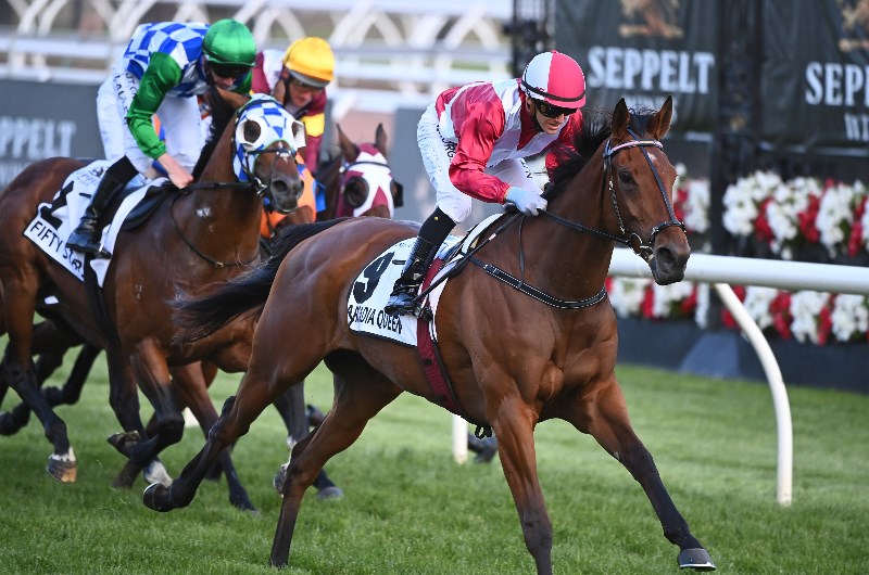 Big Bets Results from 07.11.2020