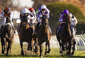 LEXINGTON, KY - NOVEMBER 07: Order of Australia, ridden by Christophe Soumillon leads the pack towards the finish line in the Breeders Cup Mile at Keenland on November 6, 2020 in Lexington, Kentucky. (Photo by Bobby Ellis/Getty Images)