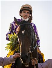 LEXINGTON, KY - NOVEMBER 07: Christophe Soumillon, riding Order of Australia, celebrates after winning the Breeders Cup Mile at Keenland on November 6, 2020 in Lexington, Kentucky. (Photo by Bobby Ellis/Getty Images)