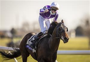 LEXINGTON, KY - NOVEMBER 07: Christophe Soumillon, riding Order of Australia, celebrates after winning the Breeders Cup Mile at Keenland on November 6, 2020 in Lexington, Kentucky. (Photo by Bobby Ellis/Getty Images)