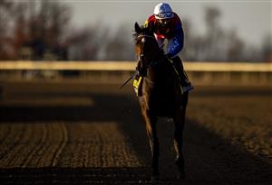 LEXINGTON, KY - NOVEMBER 07: Mehdaayih, ridden by Joel Rosario, trots past the grand stand after the Breeders Cup Turf Race at Keenland on November 7, 2020 in Lexington, Kentucky. (Photo by Bobby Ellis/Getty Images)