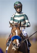 LEXINGTON, KY - NOVEMBER 07: John Velazquez, riding Gamine, makes his way to the winners circle after winning the Filly and Mare Sprint on the second day of the Breeders Cup at Keenland on November 6, 2020 in Lexington, Kentucky. (Photo by Bobby Ellis/Getty Images)