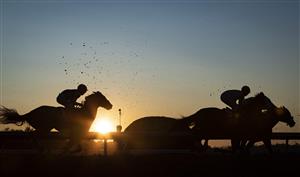 LEXINGTON, KY - NOVEMBER 07: Horses race past the grand stand during the Breeders Cup Classic at Keenland on November 7, 2020 in Lexington, Kentucky. (Photo by Bobby Ellis/Getty Images)