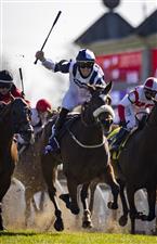 LEXINGTON, KY - NOVEMBER 07: Tom Eaves, riding Glass Slippers, celebrates as he crosses the finish line to win the Turf Sprint on the second day of the Breeders Cup at Keenland on November 6, 2020 in Lexington, Kentucky. (Photo by Bobby Ellis/Getty Images)
