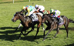 LEXINGTON, KENTUCKY - NOVEMBER 07: Audarya with Pierre-Charles Boudot aboard runs to victory in the Breeders,'Cup Filly and Mare Turf during 2020 Breeders' Cup at Keeneland on November 07, 2020 in Lexington, Kentucky. (Photo by Andy Lyons/Getty Images)