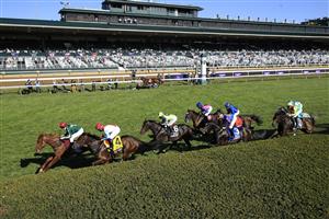 LEXINGTON, KENTUCKY - NOVEMBER 07: The field runs on the front stretch in the Breeders,'Cup Filly and Mare Turf during 2020 Breeders' Cup at Keeneland on November 07, 2020 in Lexington, Kentucky. (Photo by Andy Lyons/Getty Images)