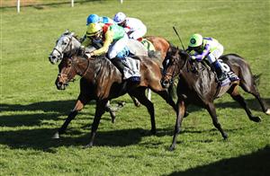 LEXINGTON, KENTUCKY - NOVEMBER 07: Audarya with Pierre-Charles Boudot aboard runs to victory in the Breeders,'Cup Filly and Mare Turf during 2020 Breeders' Cup at Keeneland on November 07, 2020 in Lexington, Kentucky. (Photo by Andy Lyons/Getty Images)
