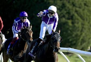LEXINGTON, KENTUCKY - NOVEMBER 07: Christophe Soumilion celebrates after riding Order of Australia to victory in the Breeders' Cup Mile during 2020 Breeders' Cup at Keeneland on November 07, 2020 in Lexington, Kentucky. (Photo by Andy Lyons/Getty Images)