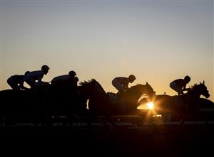 LEXINGTON, KY - NOVEMBER 07: Horses race past the grand stands during the Breeders Cup Classic at Keenland on November 7, 2020 in Lexington, Kentucky. (Photo by Bobby Ellis/Getty Images)