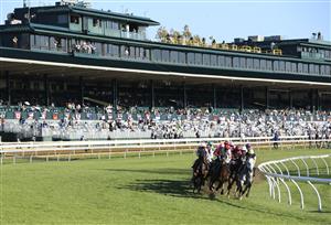 LEXINGTON, KENTUCKY - NOVEMBER 07: The field rounds the first turn in the Breeders' Cup Mile during 2020 Breeders' Cup at Keeneland on November 07, 2020 in Lexington, Kentucky. (Photo by Andy Lyons/Getty Images)