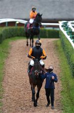 BANGOR, WALES - NOVEMBER 11: Maypole Class ridden by Jonjo O'Neill Jr. is lead out prior to the start of The Bangor On Dee Handicap Chase at Bangor-on-Dee Racecourse on November 11, 2020 in Bangor, United Kingdom. (Photo by David Davies/Pool via Getty Images)