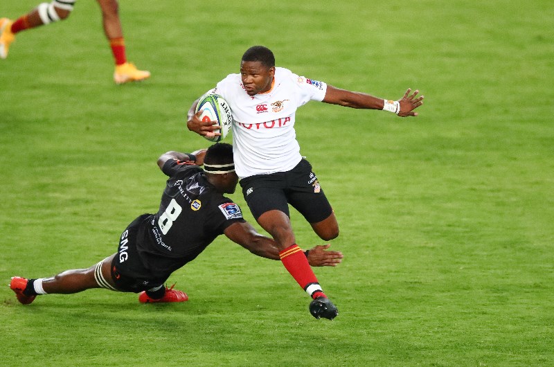 Cheetahs rugby