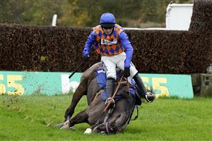 TAUNTON, ENGLAND - NOVEMBER 12: Jonathan Burke riding Pontresina fall at the last in The Arthur & Peggy White Memorial Handicap Chase at Taunton Racecourse on November 12, 2020 in Taunton, England. Owners are allowed to attend if they have a runner at the meeting otherwise racing remains behind closed doors to the public due to the Coronavirus pandemic. (Photo by Alan Crowhurst/Getty Images)