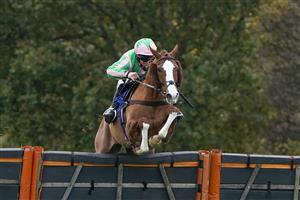TAUNTON, ENGLAND - NOVEMBER 12: Alexander Thorne riding Twin Star (pink/green) clear the last to win The Invest Southwest Handicap Hurdle at Taunton Racecourse on November 12, 2020 in Taunton, England. Owners are allowed to attend if they have a runner at the meeting otherwise racing remains behind closed doors to the public due to the Coronavirus pandemic. (Photo by Alan Crowhurst/Getty Images)