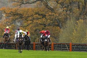 TAUNTON, ENGLAND - NOVEMBER 12: Harry Cobden riding Atholl Street (white cap) clear the last to win The Stables Business Park Maiden Hurdle at Taunton Racecourse on November 12, 2020 in Taunton, England. Owners are allowed to attend if they have a runner at the meeting otherwise racing remains behind closed doors to the public due to the Coronavirus pandemic. (Photo by Alan Crowhurst/Getty Images)
