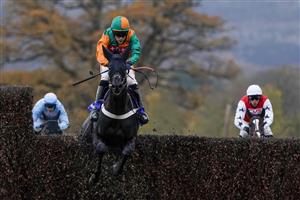 TAUNTON, ENGLAND - NOVEMBER 12: James Davies riding Duokarov clear the last to win The Michael Spiers Novices' Handicap Chase at Taunton Racecourse on November 12, 2020 in Taunton, England. Owners are allowed to attend if they have a runner at the meeting otherwise racing remains behind closed doors to the public due to the Coronavirus pandemic. (Photo by Alan Crowhurst/Getty Images)