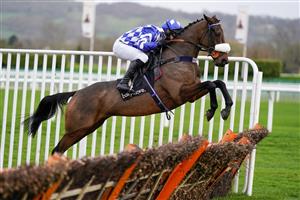 CHELTENHAM, ENGLAND - NOVEMBER 13: David Bass riding Does He Know on their way to winning The Ballymore Novices' Hurdle at Cheltenham Racecourse on November 13, 2020 in Cheltenham, England. Owners are allowed to attend if they have a runner at the meeting otherwise racing remains behind closed doors to the public due to the Coronavirus pandemic. (Photo by Alan Crowhurst/Getty Images)