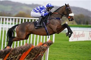 CHELTENHAM, ENGLAND - NOVEMBER 13: David Bass riding Does He Know on their way to winning The Ballymore Novices' Hurdle at Cheltenham Racecourse on November 13, 2020 in Cheltenham, England. Owners are allowed to attend if they have a runner at the meeting otherwise racing remains behind closed doors to the public due to the Coronavirus pandemic. (Photo by Alan Crowhurst/Getty Images)
