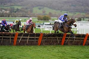 CHELTENHAM, ENGLAND - NOVEMBER 13: David Bass riding Does He Know clear the last to win The Ballymore Novices' Hurdle at Cheltenham Racecourse on November 13, 2020 in Cheltenham, England. Owners are allowed to attend if they have a runner at the meeting otherwise racing remains behind closed doors to the public due to the Coronavirus pandemic. (Photo by Alan Crowhurst/Getty Images)