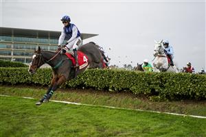 CHELTENHAM, ENGLAND - NOVEMBER 13: Thomas Dowson riding Little Bruce in action during The Glenfarclas Cross Country Handicap Chase at Cheltenham Racecourse on November 13, 2020 in Cheltenham, England. Owners are allowed to attend if they have a runner at the meeting otherwise racing remains behind closed doors to the public due to the Coronavirus pandemic. (Photo by Alan Crowhurst/Getty Images)