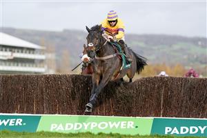 CHELTENHAM, ENGLAND - NOVEMBER 13: Bryan Carver riding Magic Saint clear the last to win The Mucking Brilliant Paddy Power Handicap Chase at Cheltenham Racecourse on November 13, 2020 in Cheltenham, England. Owners are allowed to attend if they have a runner at the meeting otherwise racing remains behind closed doors to the public due to the Coronavirus pandemic. (Photo by Alan Crowhurst/Getty Images)