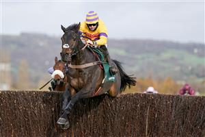 CHELTENHAM, ENGLAND - NOVEMBER 13: Bryan Carver riding Magic Saint clear the last to win The Mucking Brilliant Paddy Power Handicap Chase at Cheltenham Racecourse on November 13, 2020 in Cheltenham, England. Owners are allowed to attend if they have a runner at the meeting otherwise racing remains behind closed doors to the public due to the Coronavirus pandemic. (Photo by Alan Crowhurst/Getty Images)