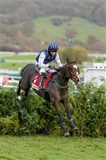 CHELTENHAM, ENGLAND - NOVEMBER 13: Thomas Dowson riding Little Bruce in action during The Glenfarclas Cross Country Handicap Chase at Cheltenham Racecourse on November 13, 2020 in Cheltenham, England. Owners are allowed to attend if they have a runner at the meeting otherwise racing remains behind closed doors to the public due to the Coronavirus pandemic. (Photo by Alan Crowhurst/Getty Images)