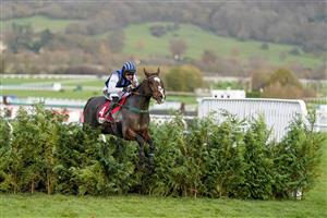 CHELTENHAM, ENGLAND - NOVEMBER 13: Thomas Dowson riding Little Bruce in action during The Glenfarclas Cross Country Handicap Chase at Cheltenham Racecourse on November 13, 2020 in Cheltenham, England. Owners are allowed to attend if they have a runner at the meeting otherwise racing remains behind closed doors to the public due to the Coronavirus pandemic. (Photo by Alan Crowhurst/Getty Images)