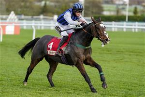 CHELTENHAM, ENGLAND - NOVEMBER 13: Thomas Dowson riding Little Bruce in action during The Glenfarclas Cross Country Handicap Chase at Cheltenham Racecourse on November 13, 2020 in Cheltenham, England. Owners are allowed to attend if they have a runner at the meeting otherwise racing remains behind closed doors to the public due to the Coronavirus pandemic. (Photo by Alan Crowhurst/Getty Images)