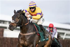 CHELTENHAM, ENGLAND - NOVEMBER 13: Bryan Carver riding Magic Saint clear the last to win The Mucking Brilliant Paddy Power Handicap Chase at Cheltenham Racecourse on November 13, 2020 in Cheltenham, England. Owners are allowed to attend if they have a runner at the meeting otherwise racing remains behind closed doors to the public due to the Coronavirus pandemic. (Photo by Alan Crowhurst/Getty Images)